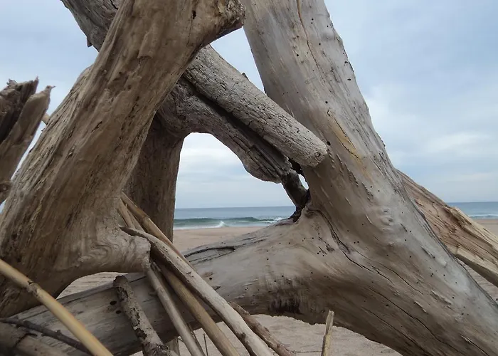 Hotel Caleta Lloret de Mar