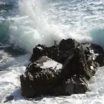 Caleta *