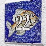 Caleta מלון