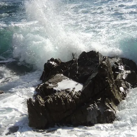 Caleta *